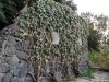 Ischia - Giardini Poseidon