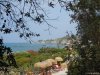 Ischia - Giardini Poseidon
