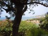 Ischia - Giardini Poseidon