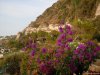 Ischia - Giardini Poseidon