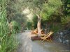 Ischia - Giardini Poseidon
