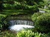 Giardino di Ninfa