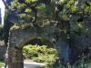 Giardino di Ninfa