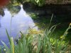 Giardino di Ninfa