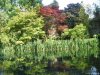 Giardino di Ninfa