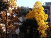 Gradina Botanica Brera - Milano
