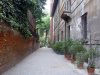 Gradina Botanica Brera - Milano