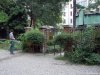 Gradina Botanica Brera - Milano