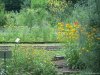 Gradina Botanica Brera - Milano