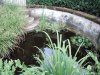 Gradina Botanica Brera - Milano