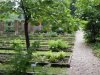 Gradina Botanica Brera - Milano
