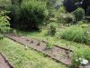 Gradina Botanica Brera - Milano