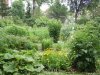 Gradina Botanica Brera - Milano