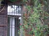 Gradina Botanica Brera - Milano
