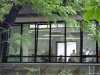 Gradina Botanica Brera - Milano