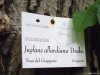 Gradina Botanica Brera - Milano