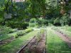 Gradina Botanica Brera - Milano