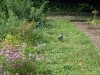 Gradina Botanica Brera - Milano