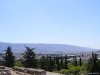 Atena
