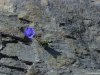 Grossglockner