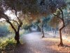 Sperlonga - Grota lui Tiberius