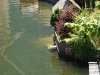 Hallstatt