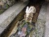 Hellbrunn