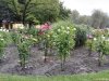 Hellbrunn