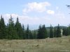 Izvoru Muresului