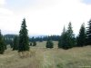 Izvoru Muresului