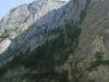 Izvoru Muresului