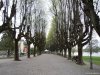 Lago Maggiore - Angera