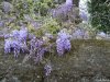 Lago Maggiore - Angera