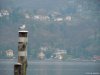 Lago Maggiore - Angera