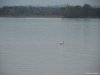 Lago Maggiore - Arona