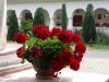 Manastirea Lainici