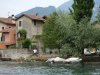 Lecco