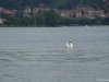 Lecco