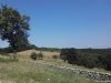 Manastirea Dealu Mare
