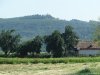 Manastirea Dealu Mare