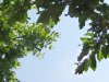 Manastirea Dealu Mare