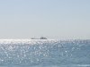 Mangalia