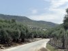 Insula Thassos - Maries