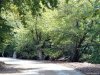 Insula Thassos - Maries