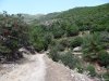 Insula Thassos - Maries