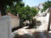 Insula Thassos - Maries