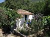 Insula Thassos - Maries