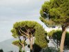Abatia Montecassino