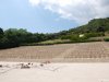 Abatia Montecassino
