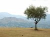 Abatia Montecassino